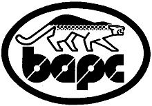 БАРС