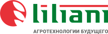 liliani