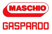Maschio