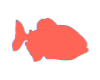 PIRANHA