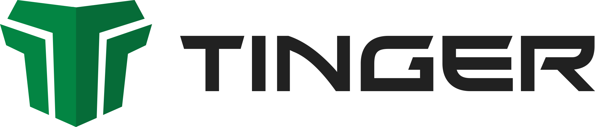 TINGER